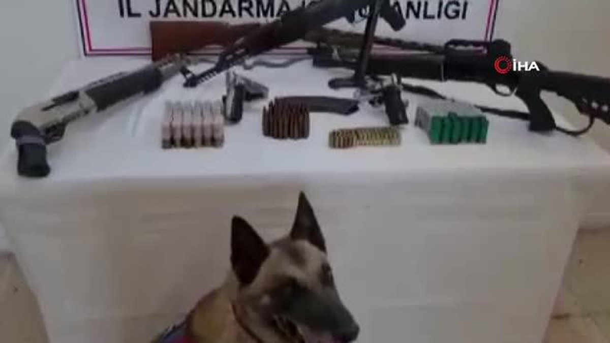 Şanlıurfa\'da silah ve mühimmatı ele geçirildi