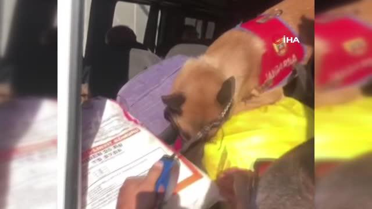 Uyuşturucu taciri, narkotik köpeği \'Vasıf\'tan kaçamadı