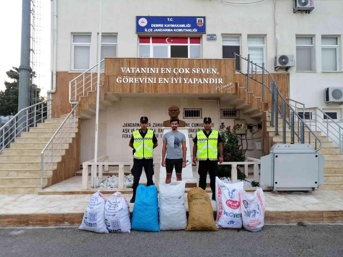 13 çuval keçiboynuzu çalan 6 kişi yakalandı