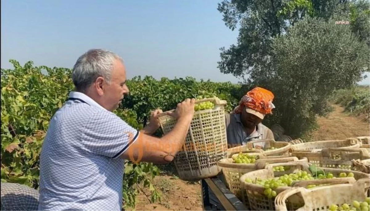 Ahmet Vehbi Bakırlıoğlu: 27 Lira Kurum Üzüm Fiyatı ile Ancak 1 Litre Mazot Alınabiliyor