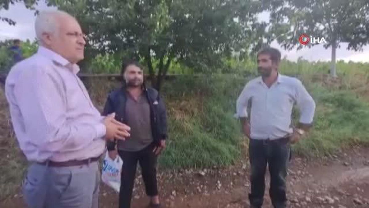 Malatya\'da dolu yağışı tütünlere zarar verdi