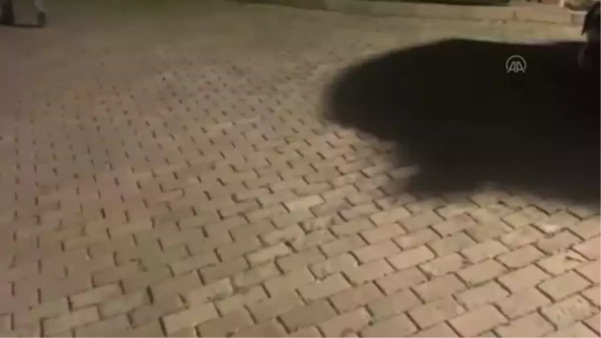 Çatalca\'da kumar oynadıkları iddia edilen kişilere para cezası verildi