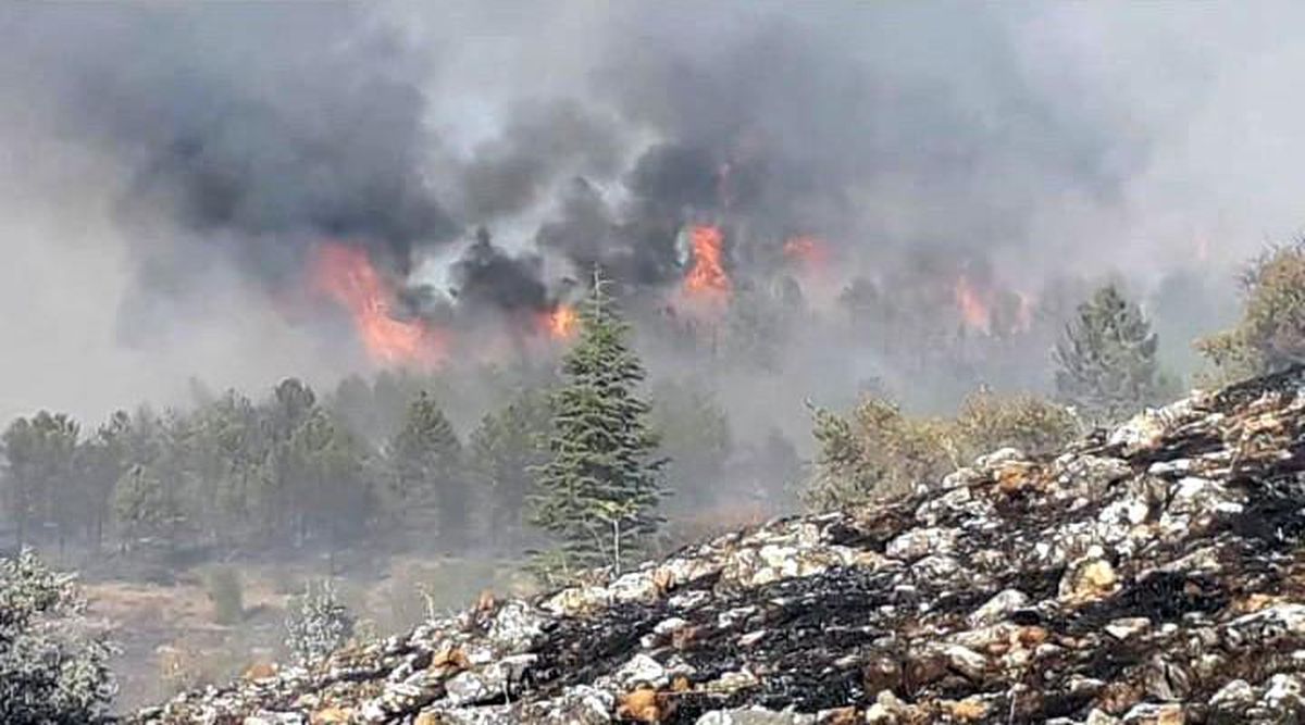 Elazığ\'da orman yangınına müdahale sürüyor