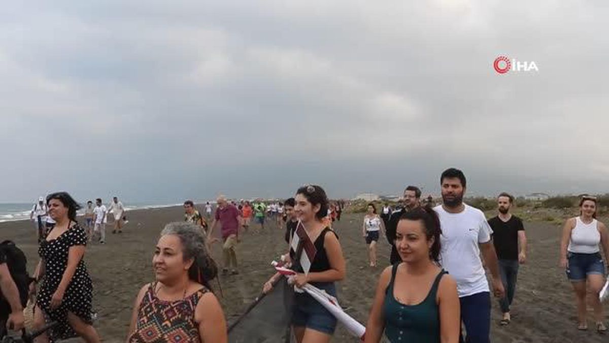 Hatay\'da yavru kaplumbağalar Akdeniz\'in mavi sularına kavuştu