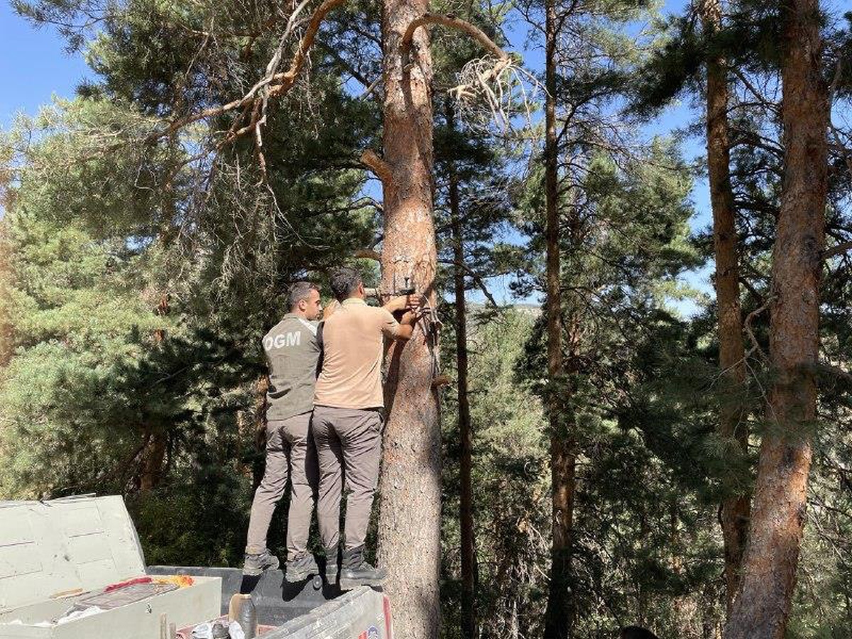 Kars\'ta ormanlar yapay zeka fotokapanlarla korunuyor