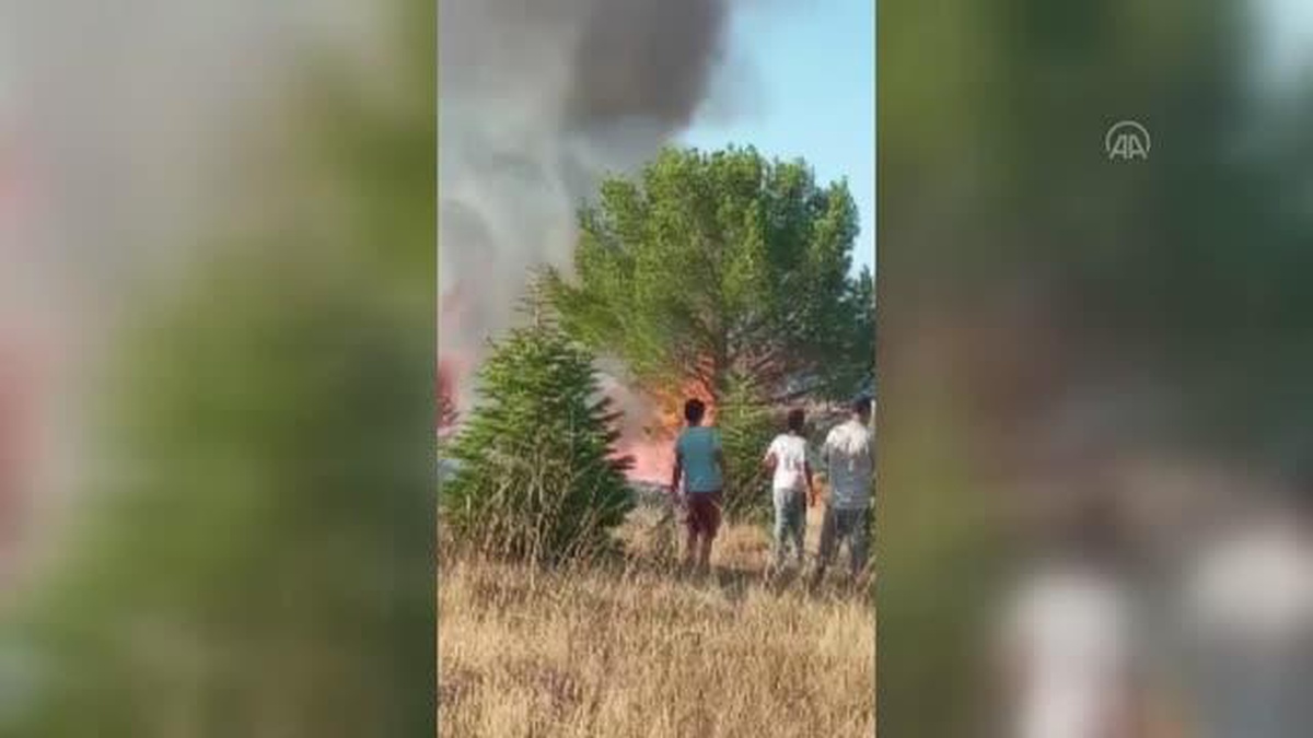 Elazığ\'da çıkan orman yangını söndürüldü