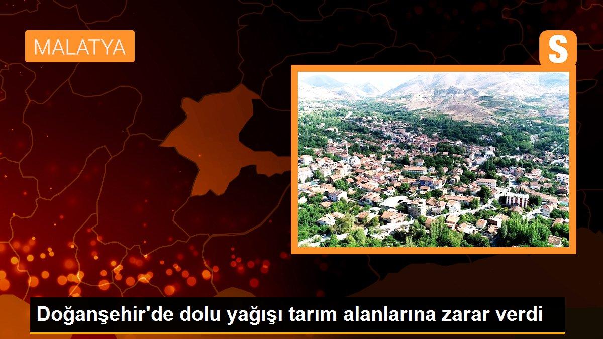 Doğanşehir\'de dolu yağışı tarım alanlarına zarar verdi
