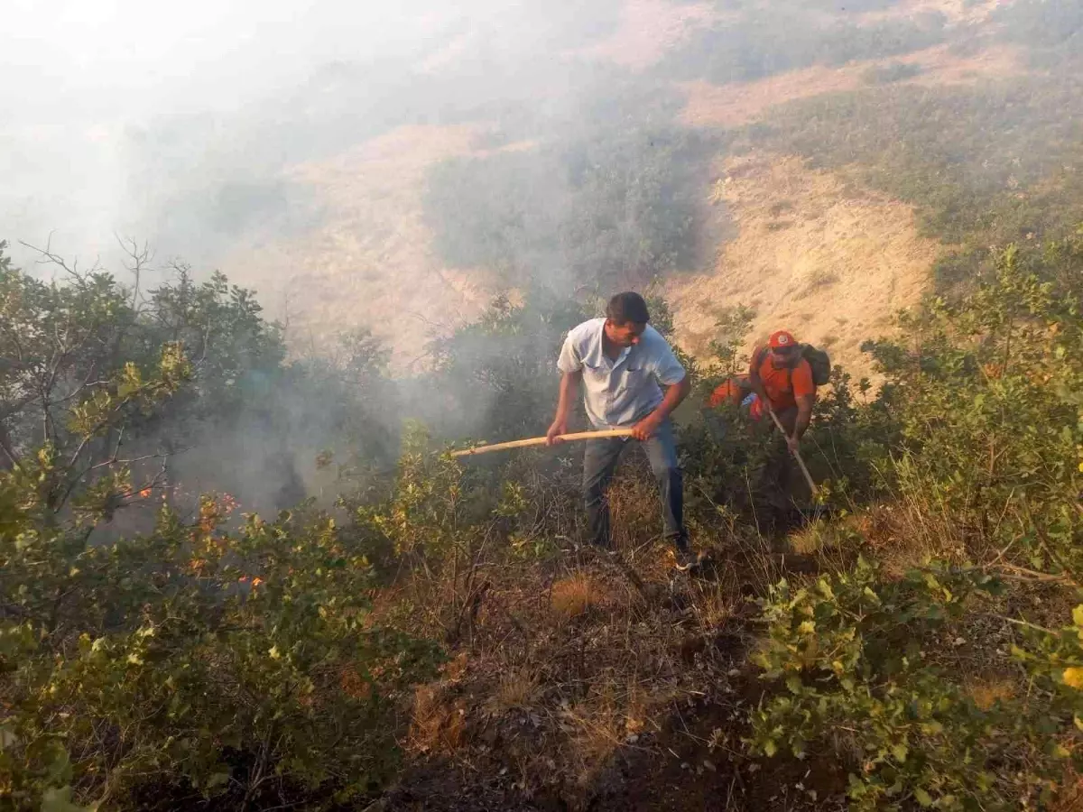 Tunceli\'de çıkan örtü yangınına müdahale sürüyor