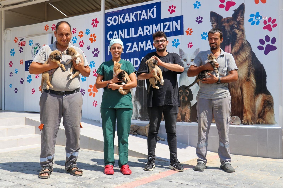 Gazipaşa Belediyesi Sokak Hayvanlarını Yalnız Bırakmıyor