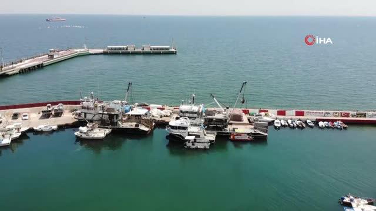 Eylül\'e sayılı günle kaldı: Palamut bolluğu bekleniyor