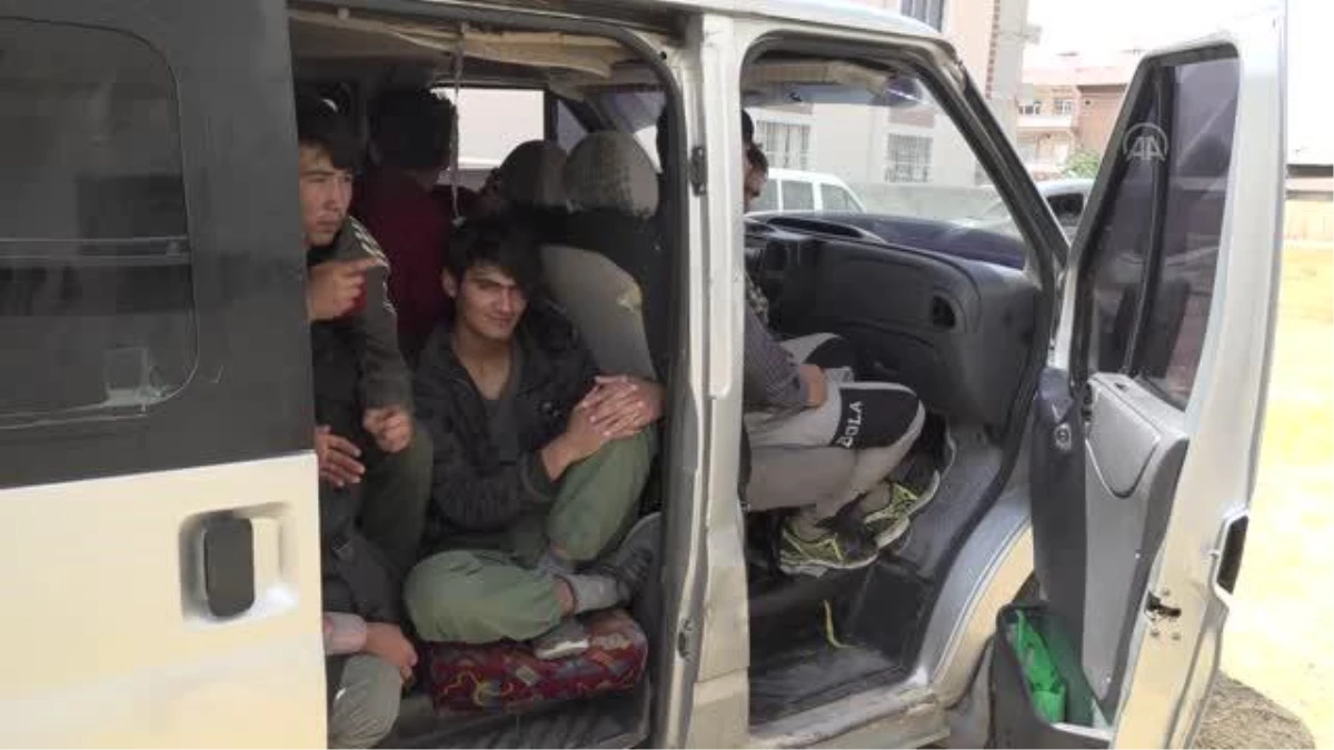 Van\'da polislerce durdurulan minibüste 20 düzensiz göçmen yakalandı