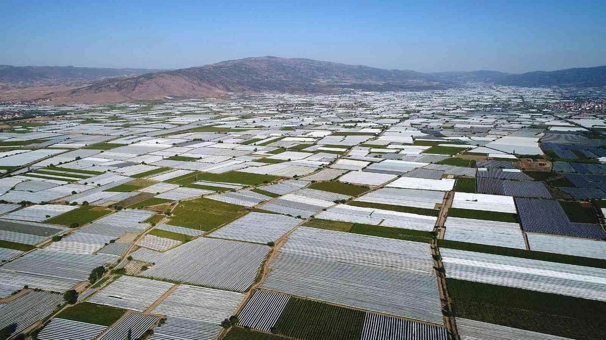 Sarıgöl Ovası beyaza büründü