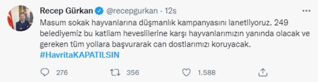 Sokak köpeklerini hedef gösteren Havrita uygulamasına tepkiler çığ gibi ama yetkililerden ses yok