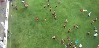 Taşköprü'de kazanan Yusuf Can Zeybek oldu