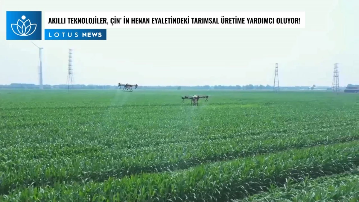 Video: Akıllı Teknolojiler, Çin\'in Henan Eyaletindeki Tarımsal Üretime Yardımcı Oluyor