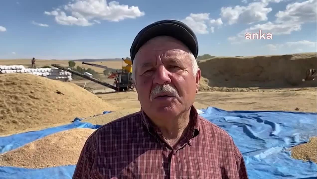 Yozgat\'ta Nohut Hasadı Yapan Çiftçi: "Borcun Yarısına Bile Merhem Olmuyor"