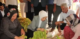 AK Parti'li Çalık dolu yağışından etkilenen tütün üreticileriyle buluştu