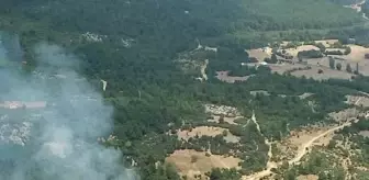 Balıkesir'deki çifte orman yangını söndürüldü