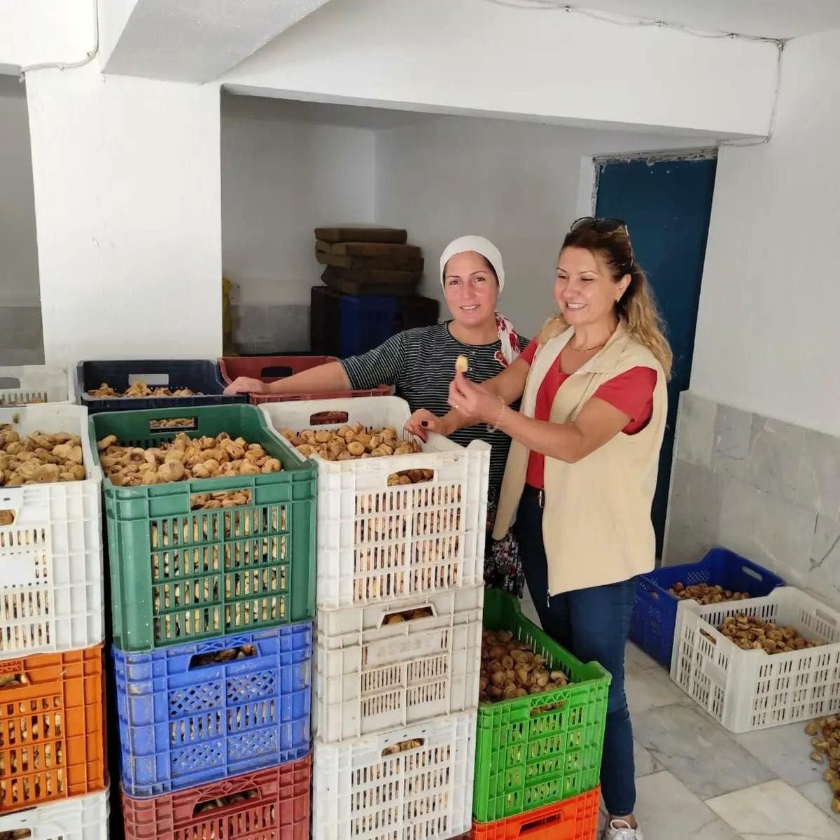 Efeler\'de incir depoları denetimi başladı