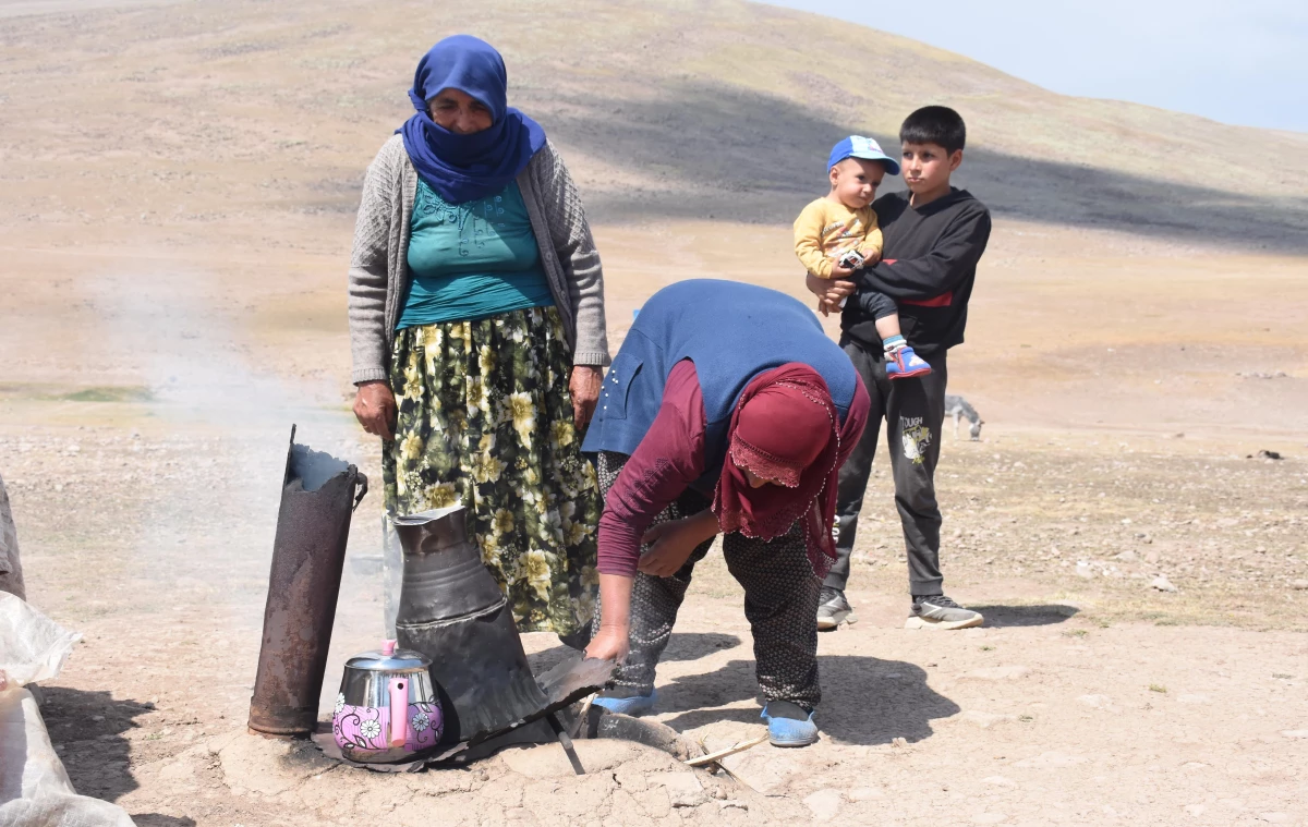 Erzurum\'un yaylaları, doğu ve güneydoğudan göçer aileleri ağırlıyor