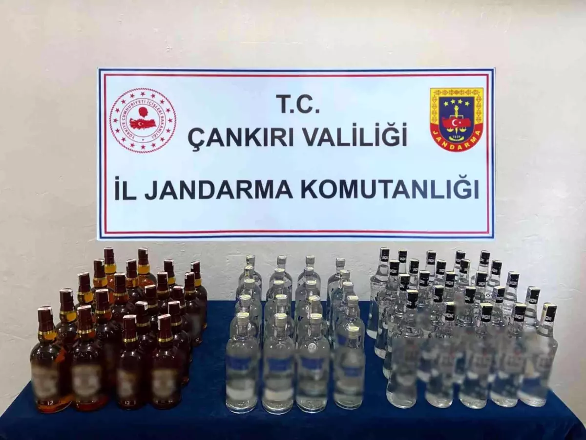 Jandarma ekiplerinin durdurduğu araçtan 54 litre kaçak alkol ele geçirildi