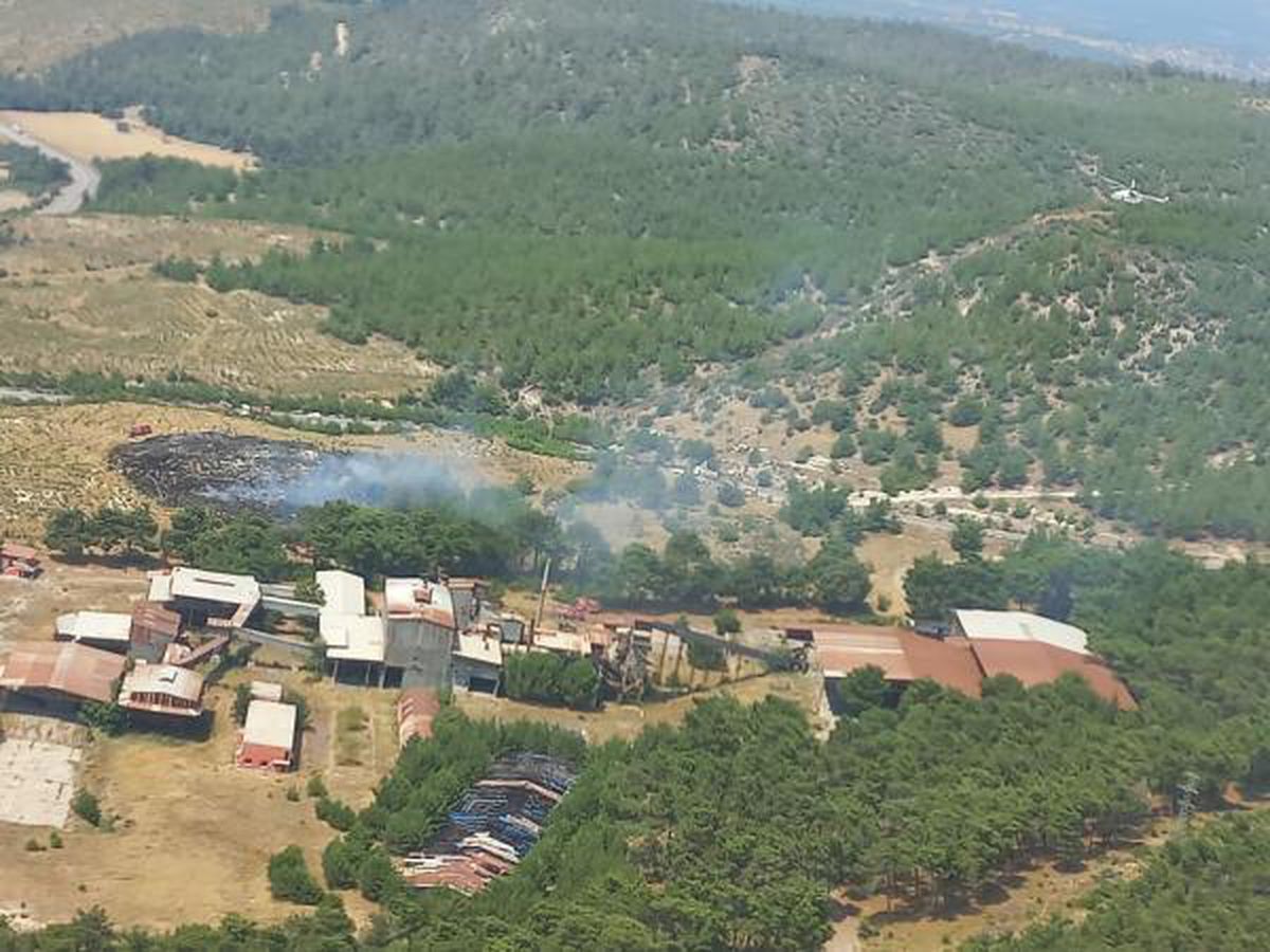 Manisa\'da orman yangını; 5 dönüm alan zarar gördü