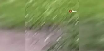 Sağanak yağış Balıkesir'de etkili oldu