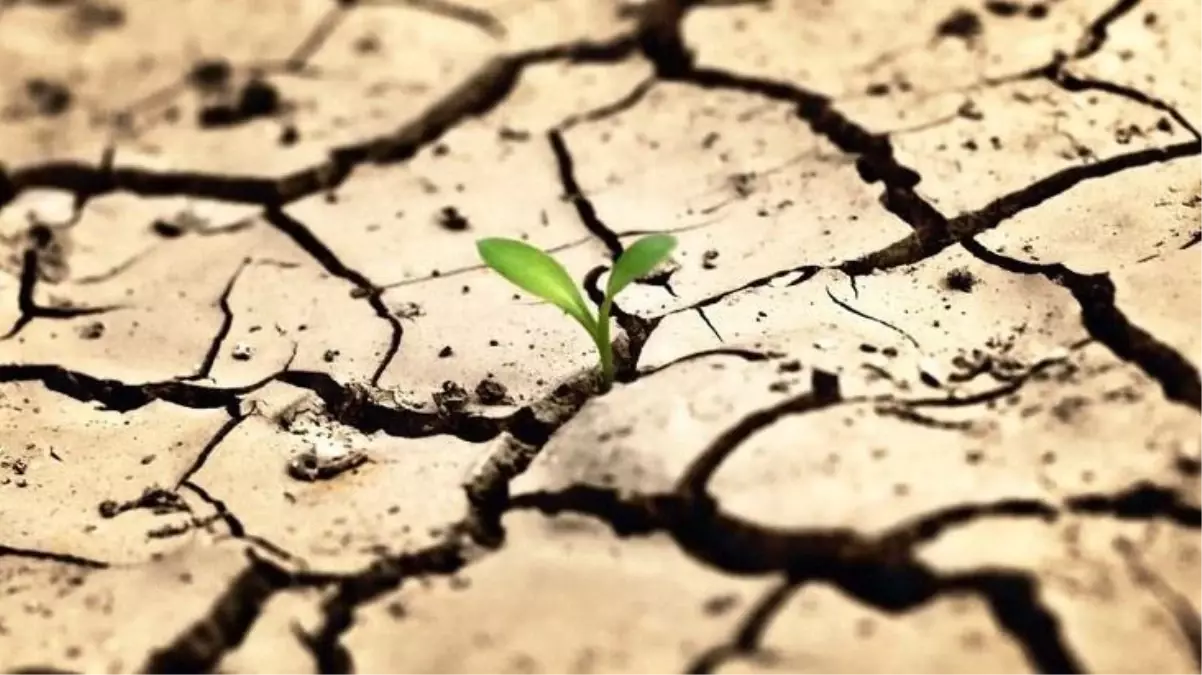 Son 500 yılın kötü dönemi! Avrupa kuraklıkla savaşıyor