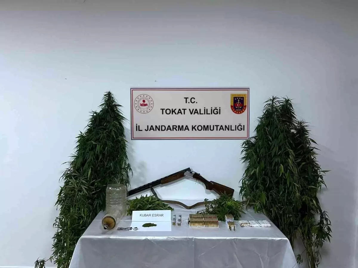 Tokat\'ta kenevir operasyonu