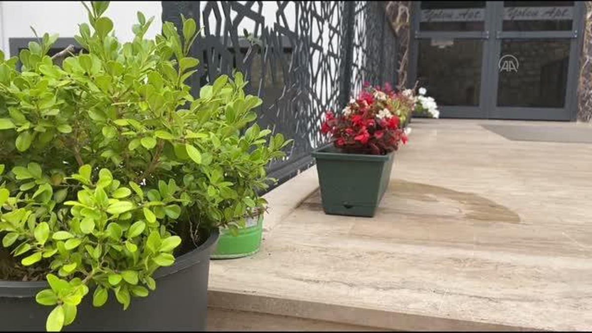 Zonguldak\'ta apartmanın önünden çiçek hırsızlığı güvenlik kamerasında