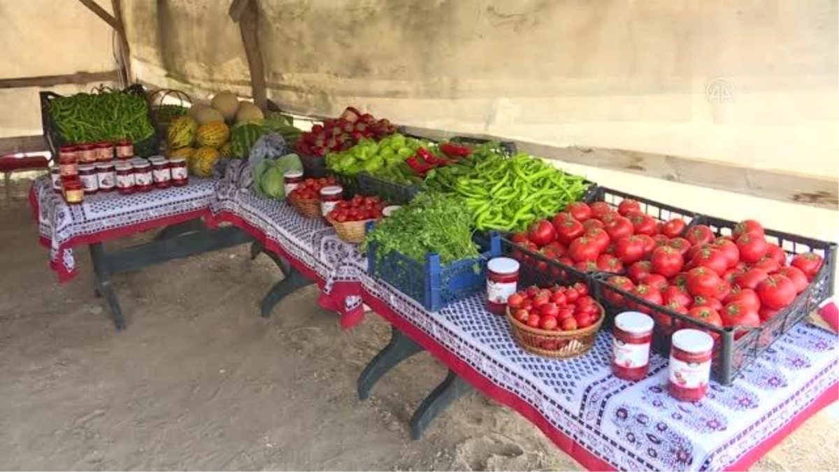 Emine Erdoğan, Ayaş\'ta çiftçi kadınlarla tarladan domates topladı, kışlık menemen yaptı Açıklaması