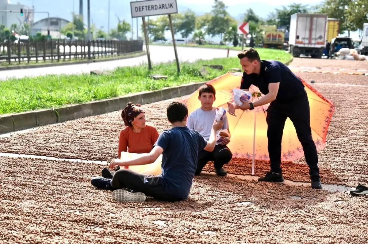 Giresun Belediyesinden fındık üreticilerine ikram