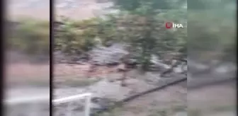 Milas'ta sağanak yağış