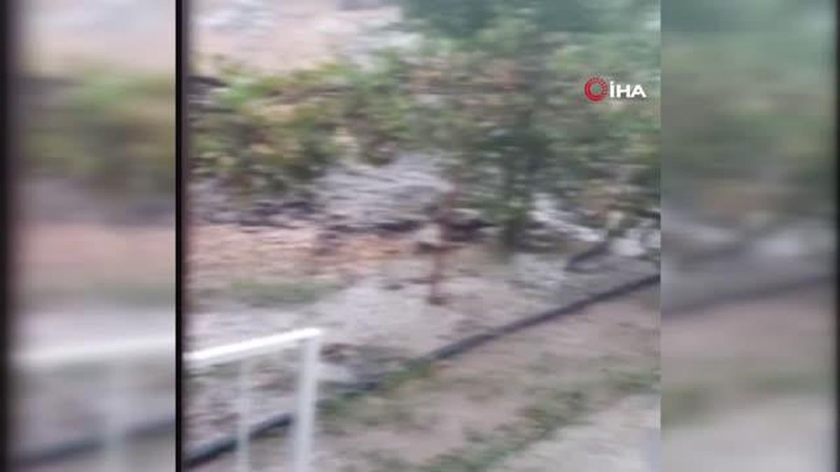 Milas'ta sağanak yağış