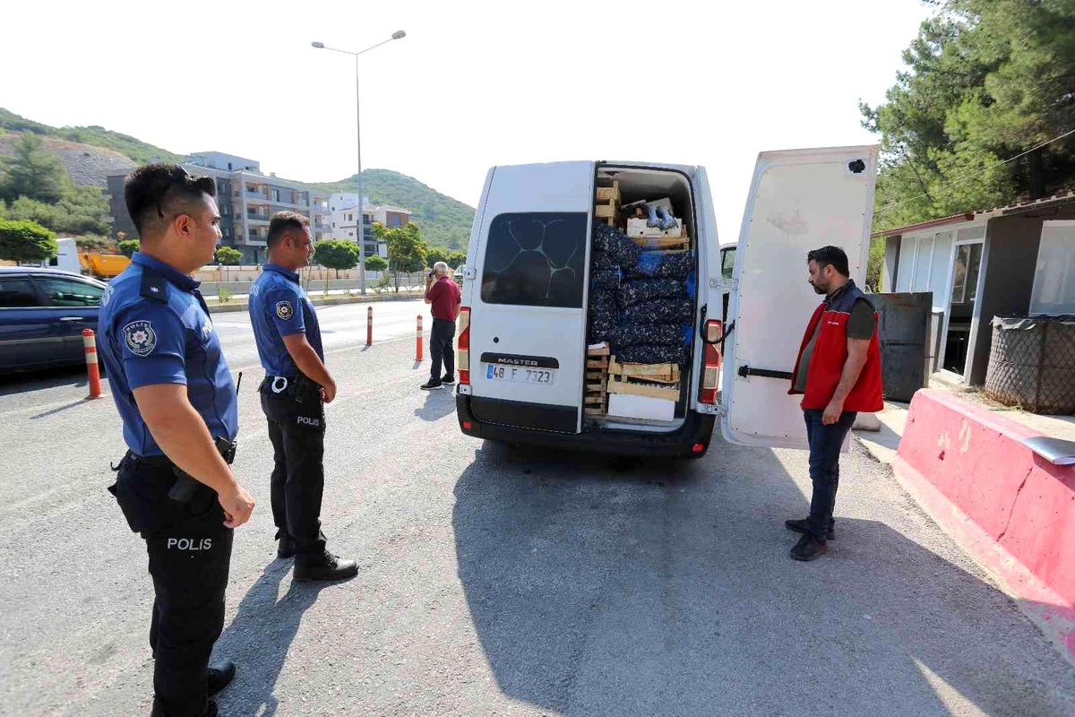 Muğla\'da avlanması yasak olan 3 adet mavi yüzgeçli orkinos balığı ele geçirildi