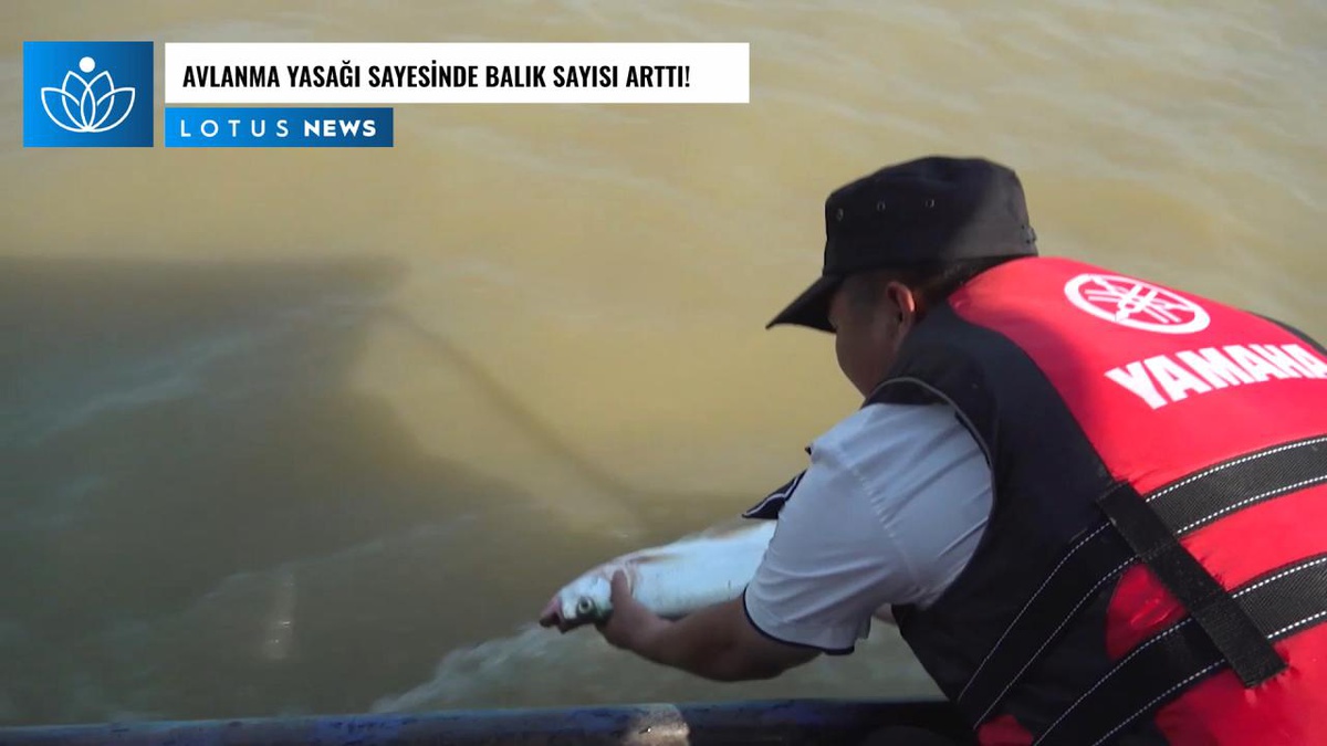 Video: Çin\'in En Büyük Tatlısu Gölünde Balık Sayısı Avlanma Yasağı Sayesinde Arttı