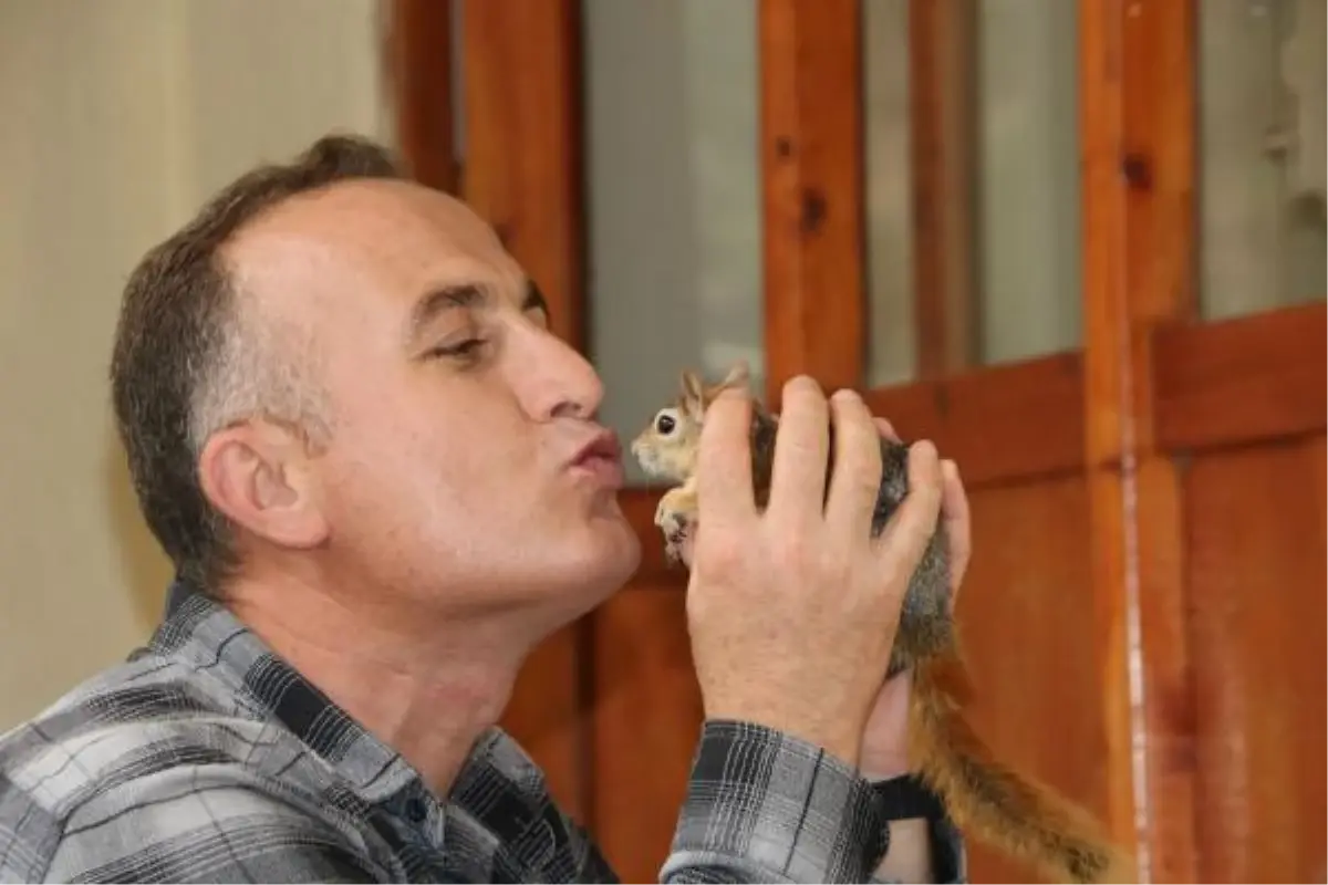 Yavruyken bulduğu sincap için evinde doğal ortam oluşturdu