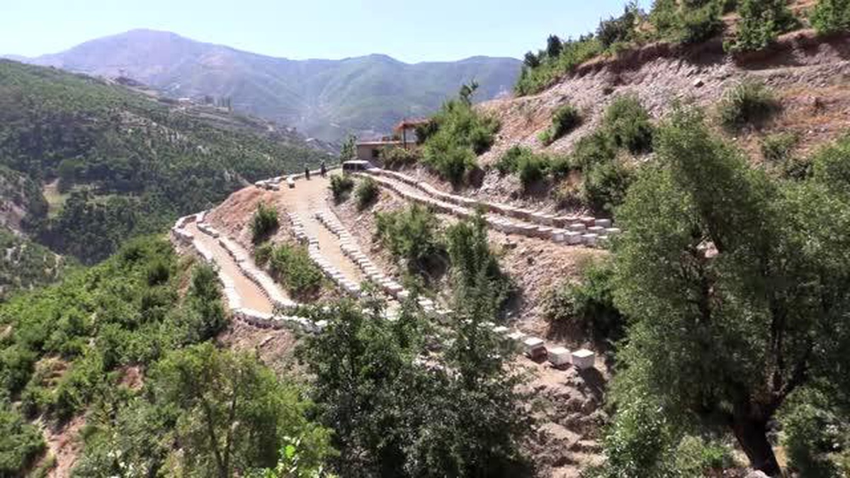 Arıcı kardeşler 1750 rakımlı Cevizlik Yaylası\'nda polen üretiyor