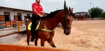 Adana'da atlı polisler toplumsal olaylara karşı tatbikat yaptı