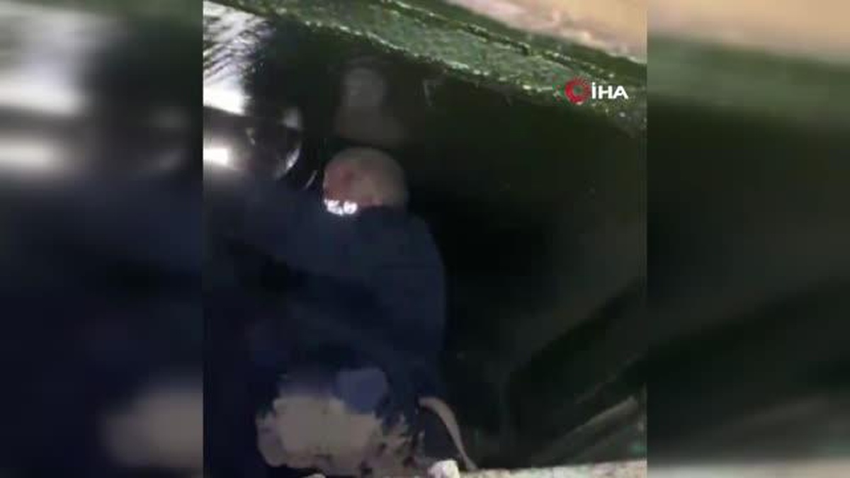 Bacaya sıkışan baykuşların imdadına işçiler yetişti