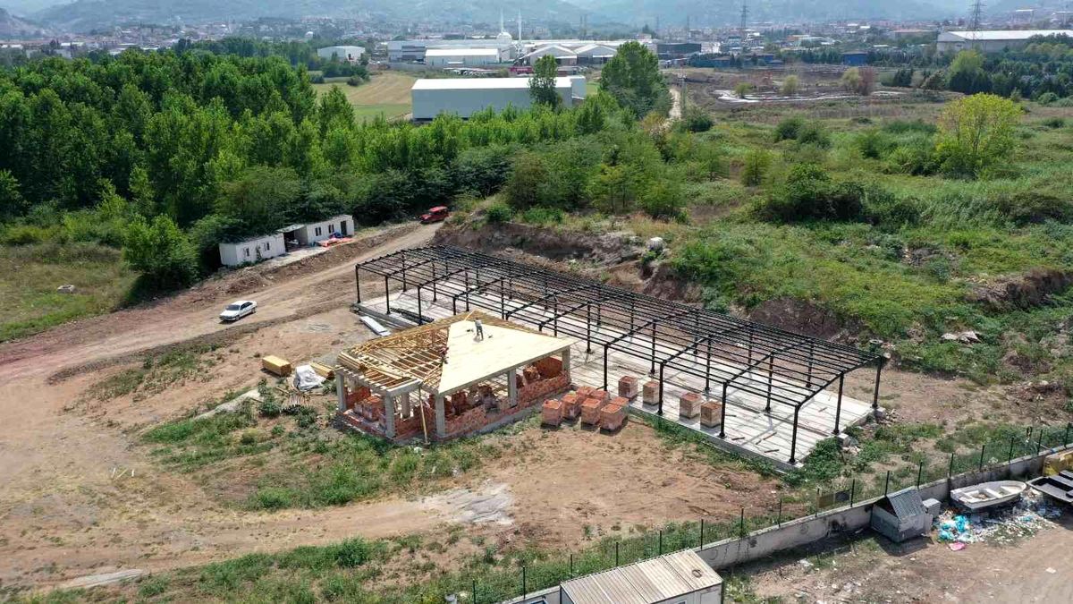 Başiskele\'de sokak hayvanları bu merkezde tedavi edilecek