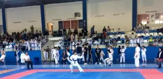 Çocuk evlerinde kalan çocuklar karate turnuvasından başarıyla döndü