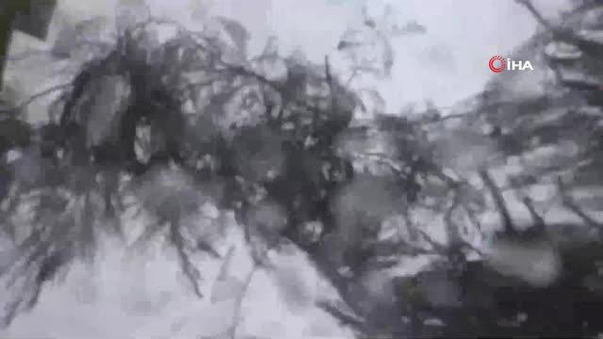 Ma-on Tayfunu Çin\'de karaya ulaştı