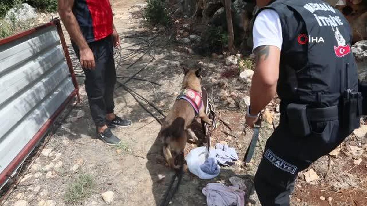 Mersin\'de kayıp kadın aranıyor