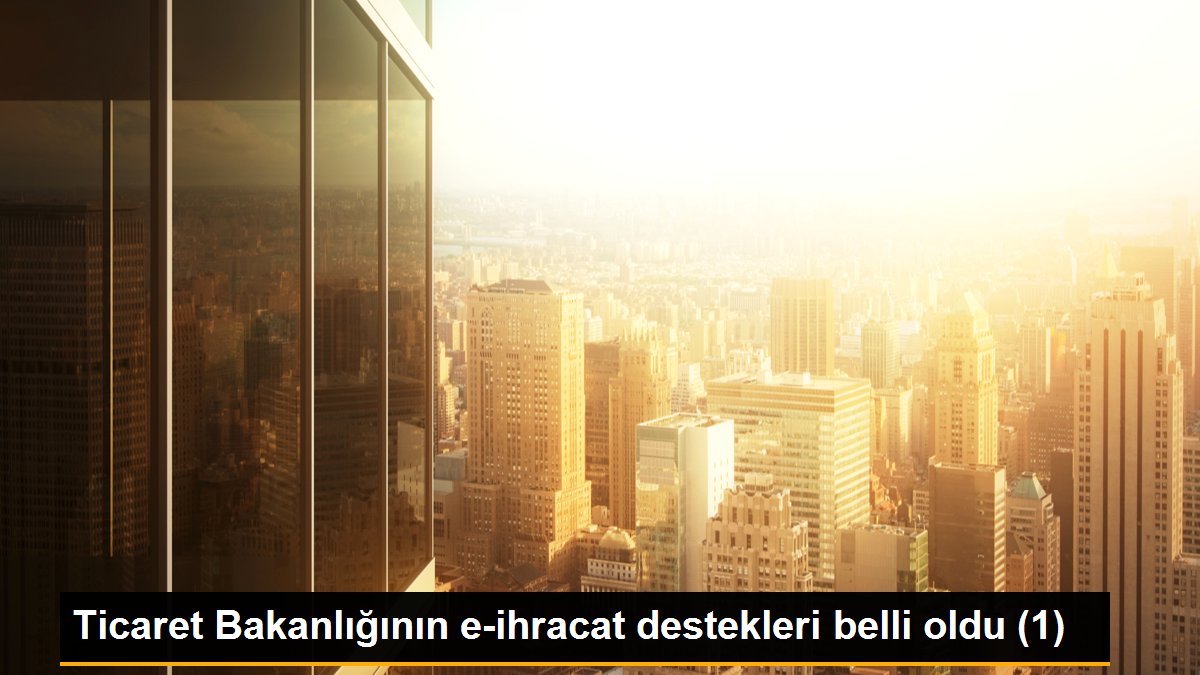 Ticaret Bakanlığının e-ihracat destekleri belli oldu (1)