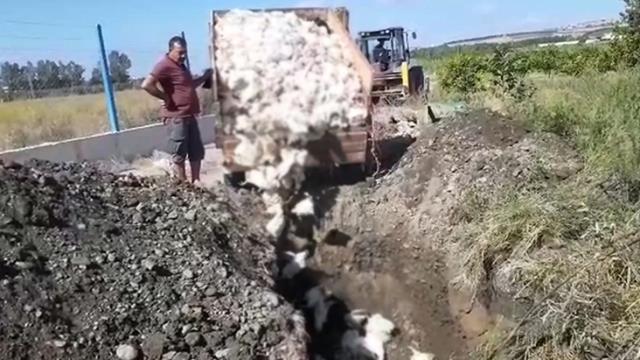 Çiftlikteki 2 bin 450 tavuk öldü Çiftlikteki 2 bin 450 tavuk öldü