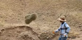 Dağdan ot balyası taşımada kızak- branda yerine çelik halat