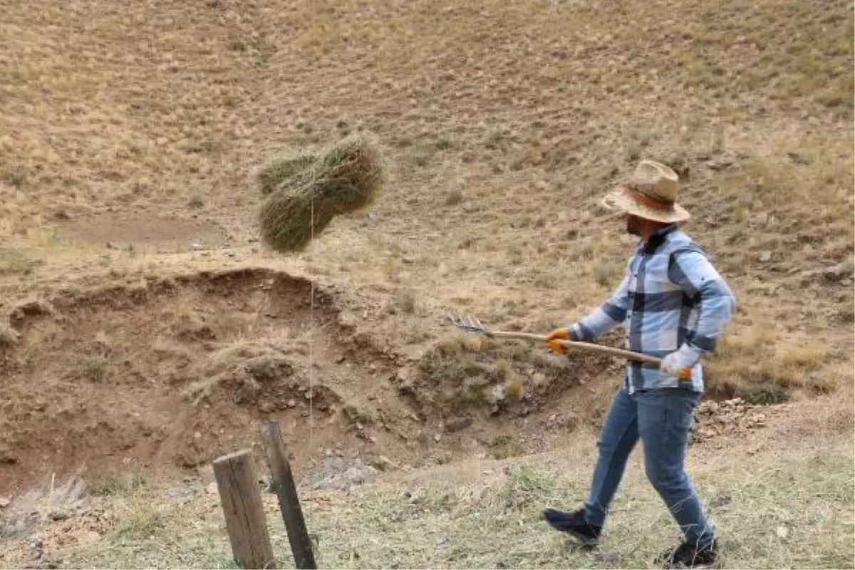 Dağdan ot balyası taşımada kızak- branda yerine çelik halat