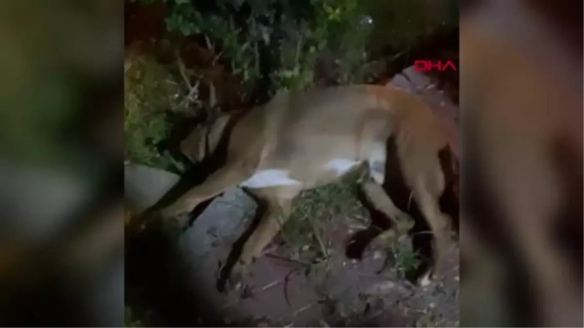 'HAVRİTA'YA BU KEZ 'EKSTRA TEHLİKE'DEN ERİŞİM ENGELİ