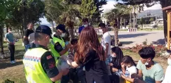İzmir'de 'yasa dışı geçiş' operasyonlarında 446 kaçak göçmen yakalandı